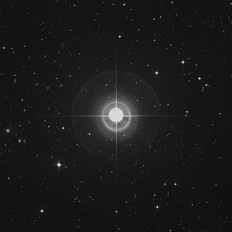 Image of Nashira - γ Capricorni (gamma Capricorni) star