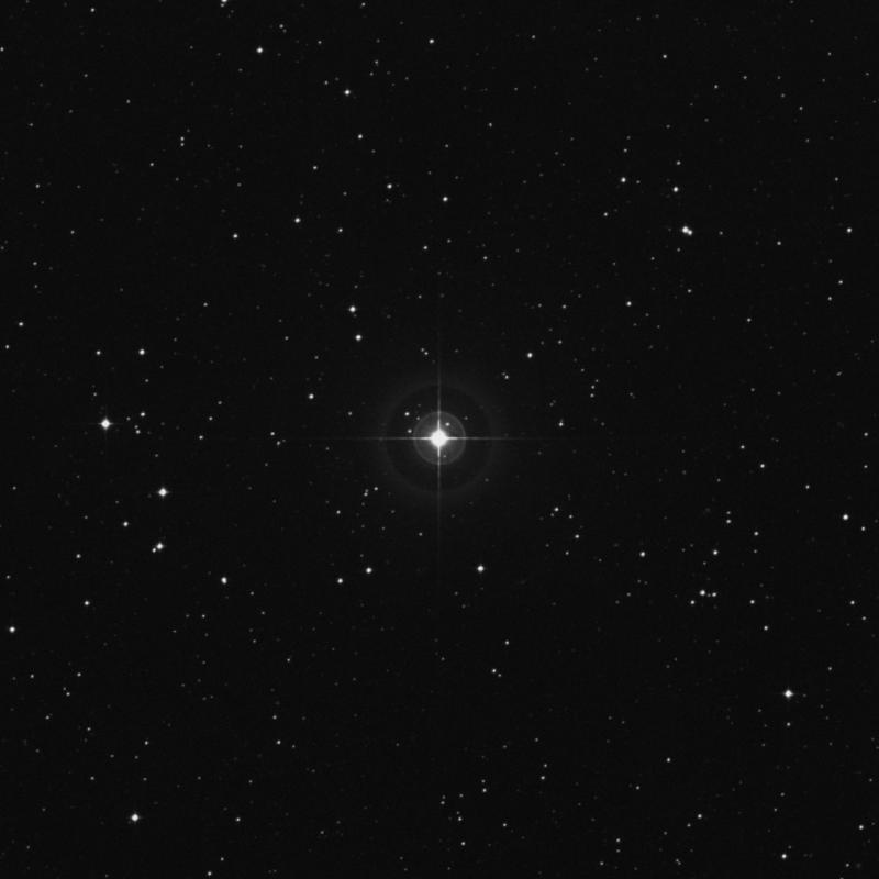 Image of HR8282 star