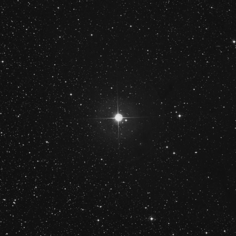 Image of 75 Cygni star