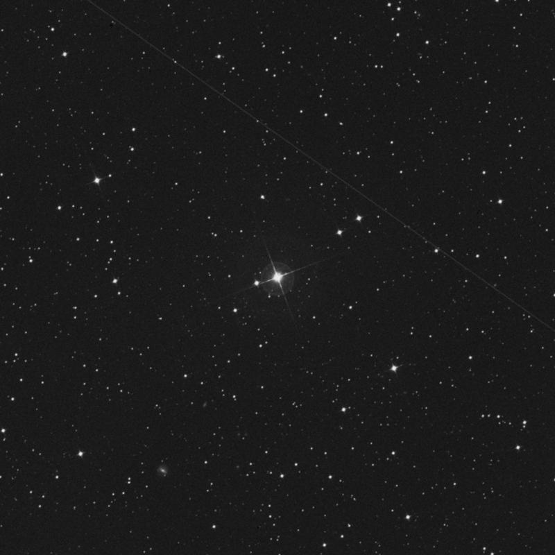 Image of HR8294 star