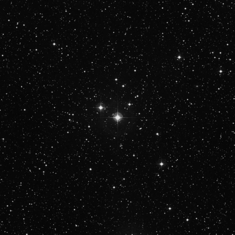 Image of 79 Cygni star