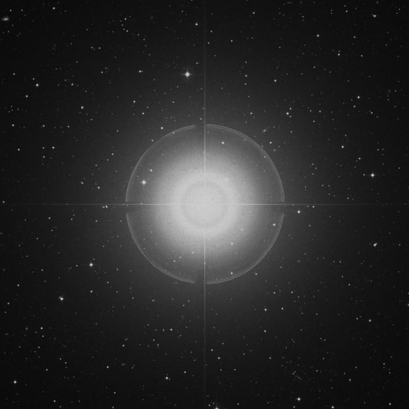 Image of Enif - ε Pegasi (epsilon Pegasi) star