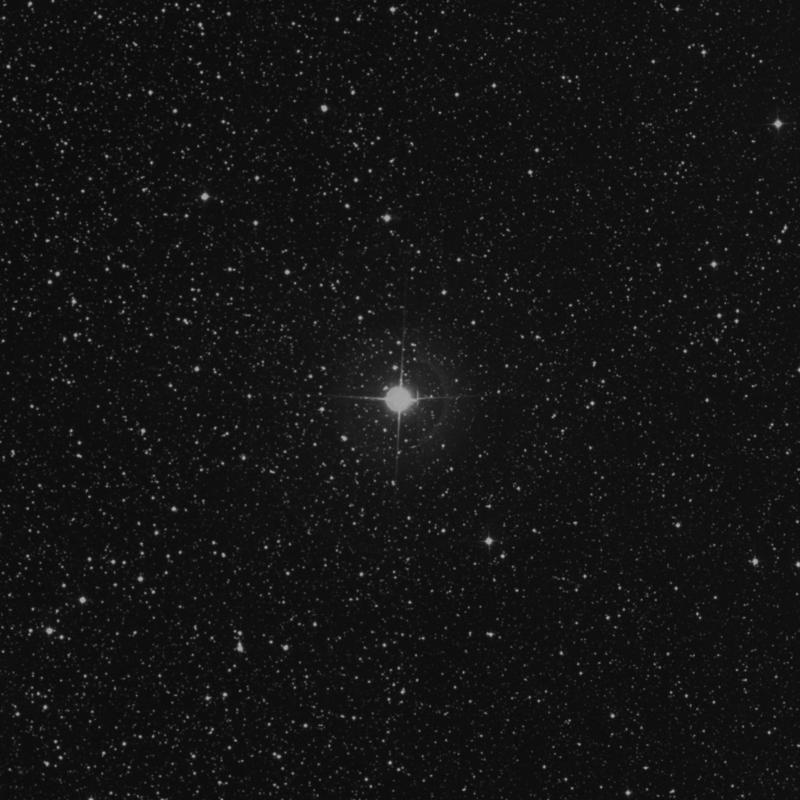 Image of π2 Cygni (pi2 Cygni) star