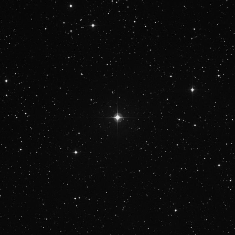 Image of HR8341 star