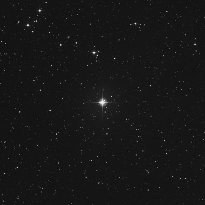 Image of HR8348 star