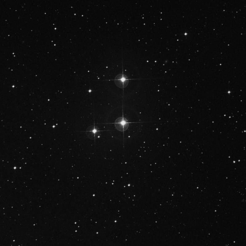 Image of HR8367 star