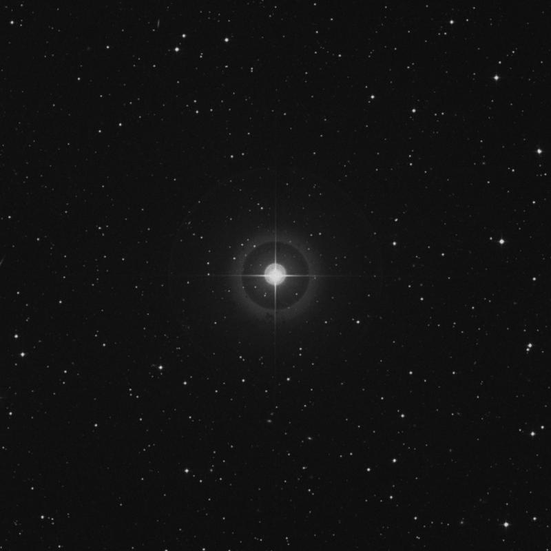 Image of 19 Pegasi star