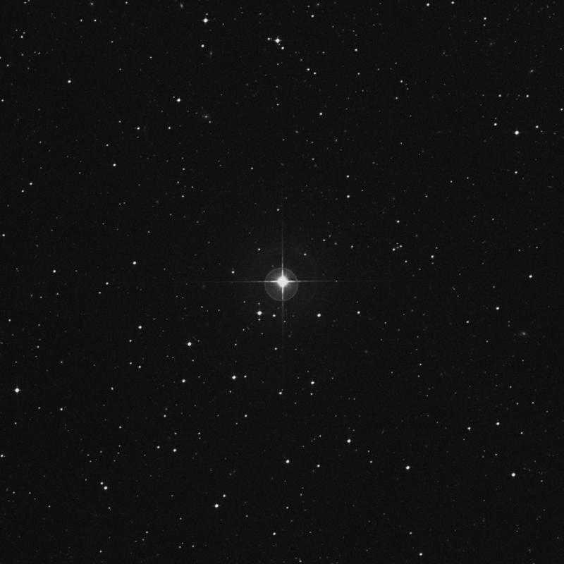 Image of HR8394 star