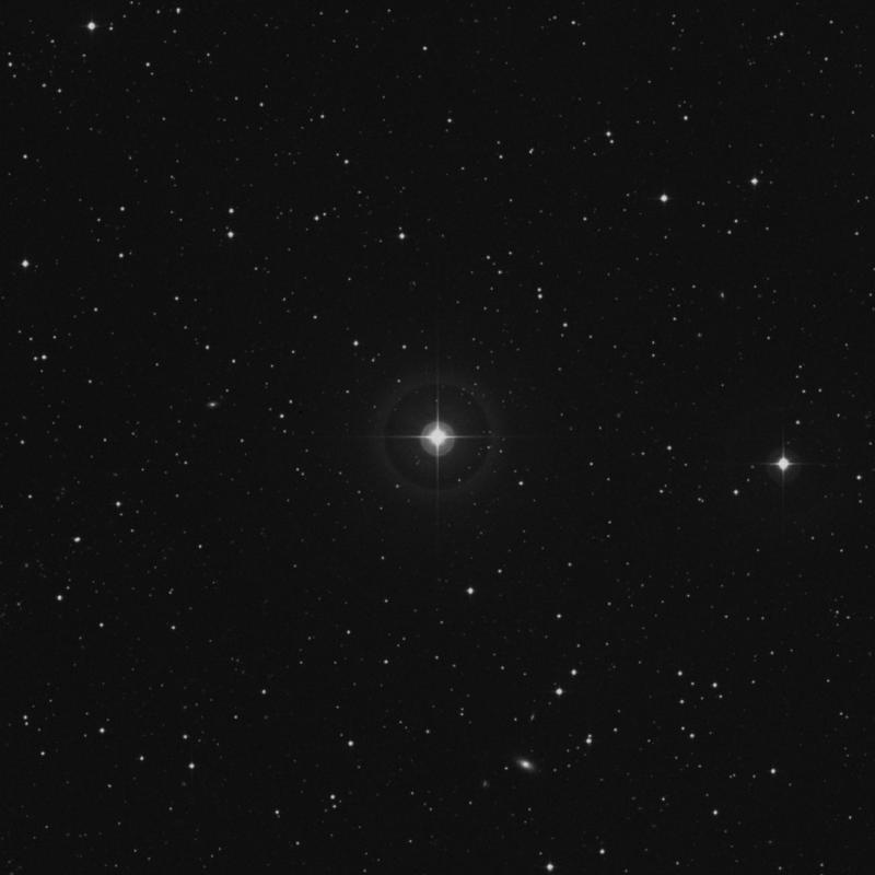 Image of 21 Pegasi star