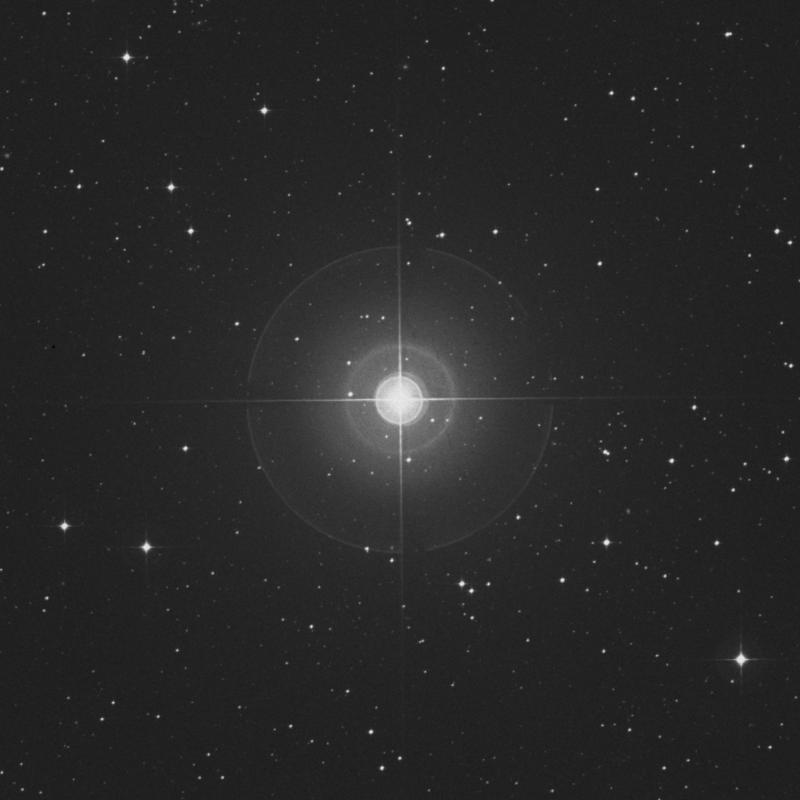 Image of λ Gruis (lambda Gruis) star