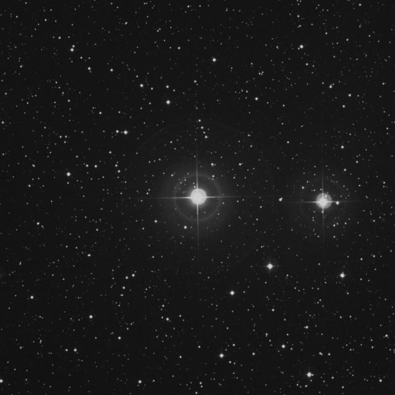 Image of π2 Pegasi (pi2 Pegasi) star