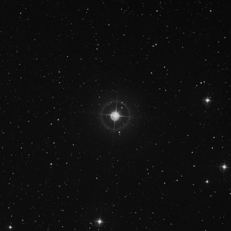 Image of 24 Cephei star