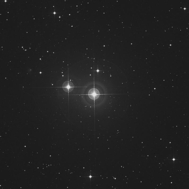 Image of π1 Gruis (pi1 Gruis) star