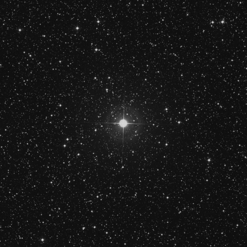 Image of 4 Lacertae star