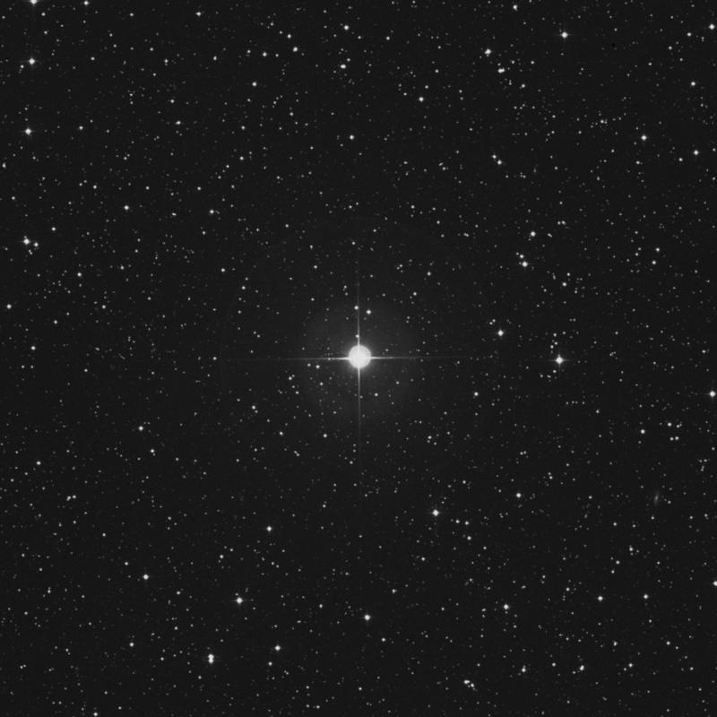 Image of 6 Lacertae star