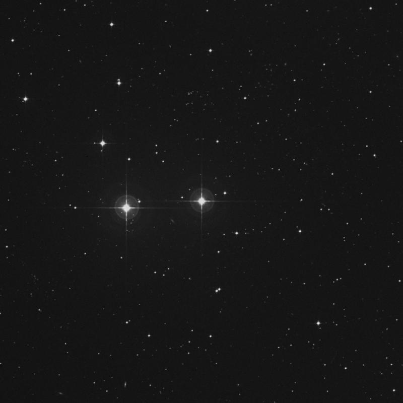 Image of σ1 Gruis (sigma1 Gruis) star