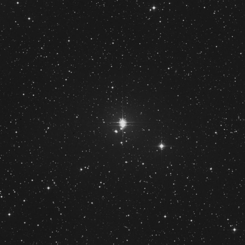 Image of 8 Lacertae star