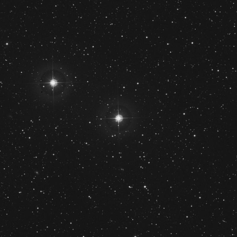 Image of HR8604 star