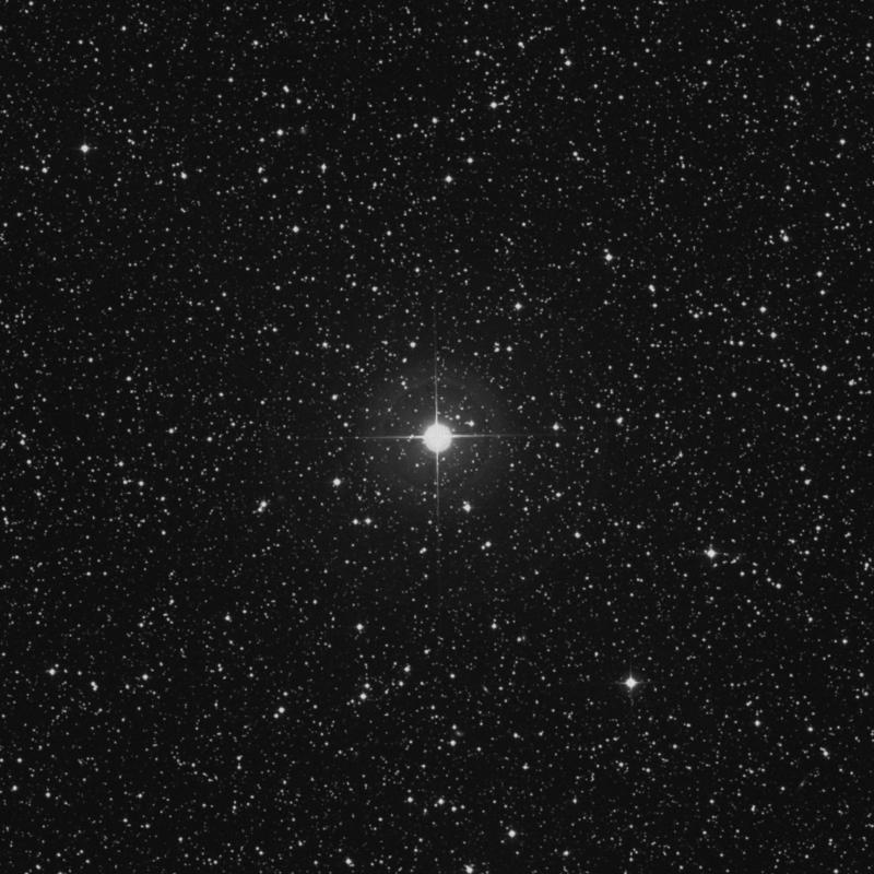 Image of 9 Lacertae star