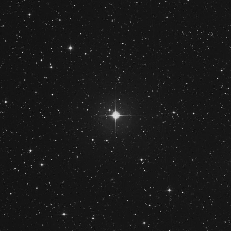 Image of 10 Lacertae star