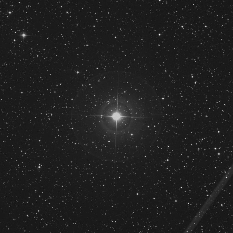 Image of 11 Lacertae star