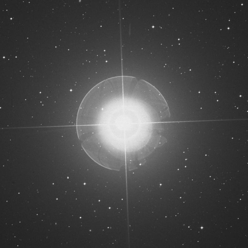 Image of Tiaki - β Gruis (beta Gruis) star