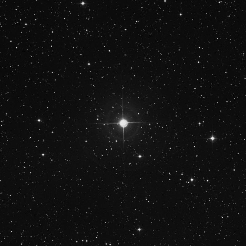 Image of 13 Lacertae star