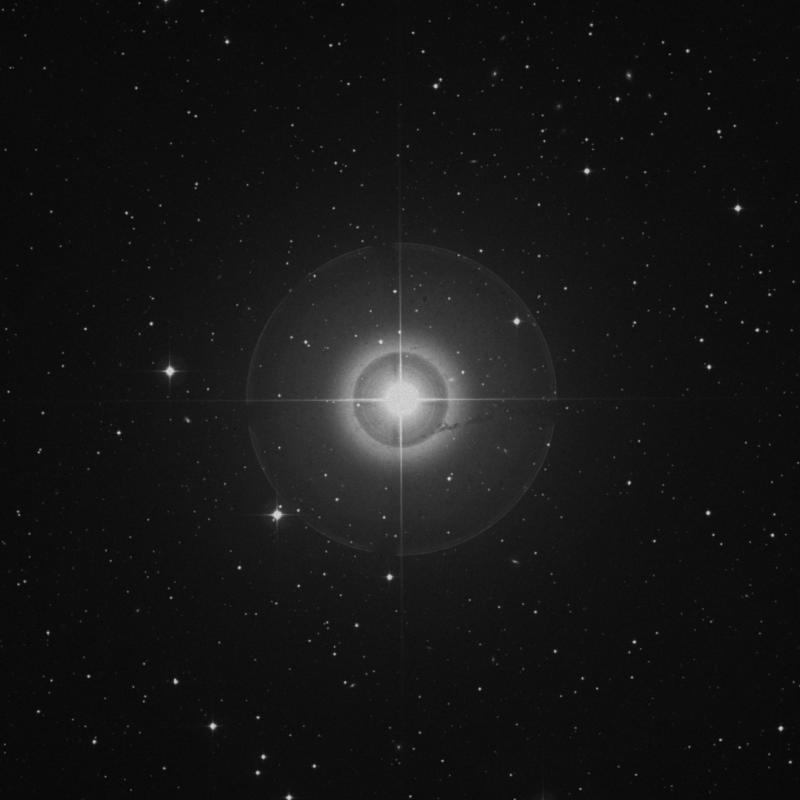 Image of Sadalbari - μ Pegasi (mu Pegasi) star