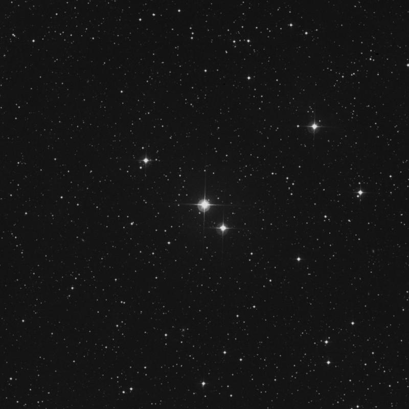 Image of 14 Lacertae star