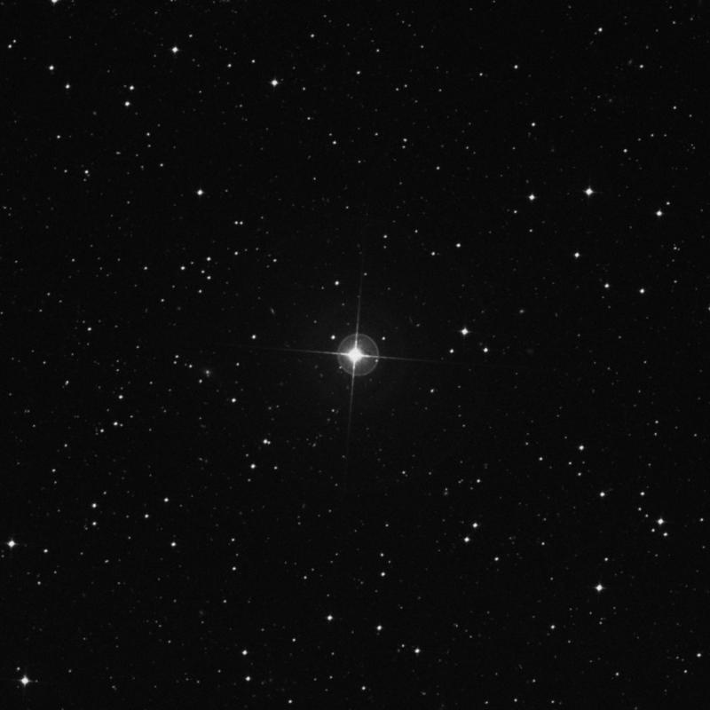 Image of ρ Indi (rho Indi) star