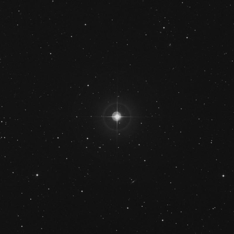 Image of ρ Pegasi (rho Pegasi) star