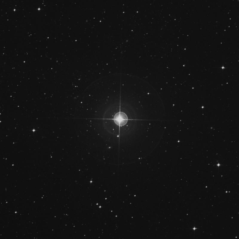 Image of HR8818 star