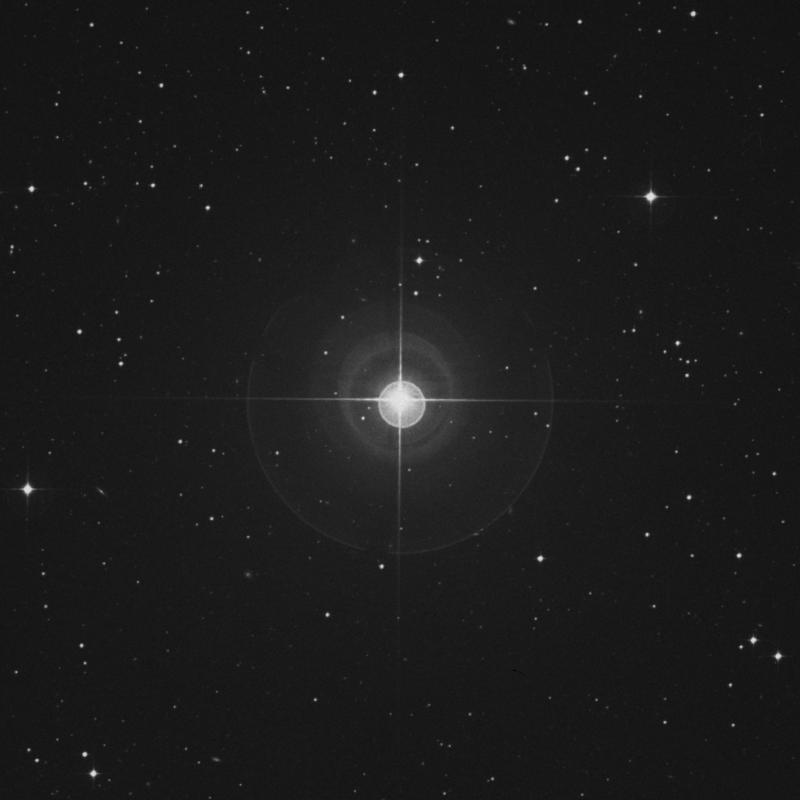 Image of γ Sculptoris (gamma Sculptoris) star