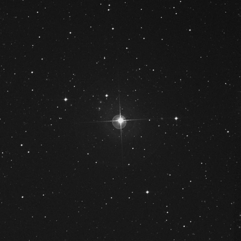 Image of ο Gruis (omicron Gruis) star