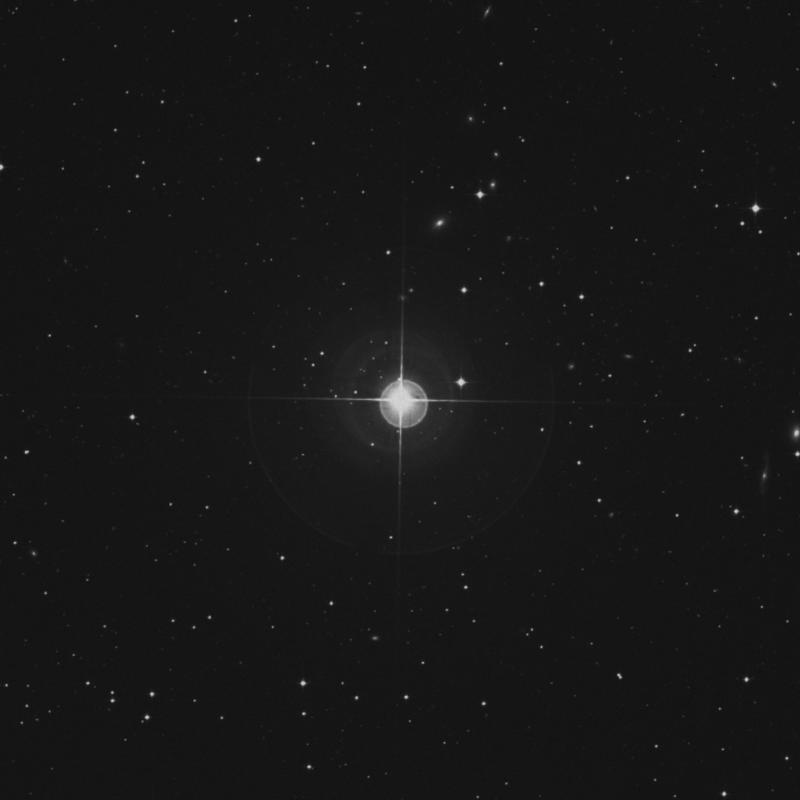 Image of β Sculptoris (beta Sculptoris) star