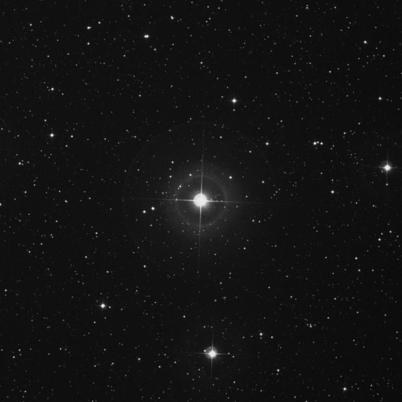 Image of ι Andromedae (iota Andromedae) star