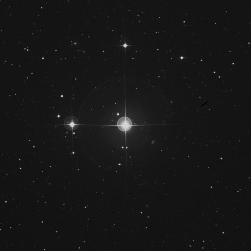 Image of μ Sculptoris (mu Sculptoris) star