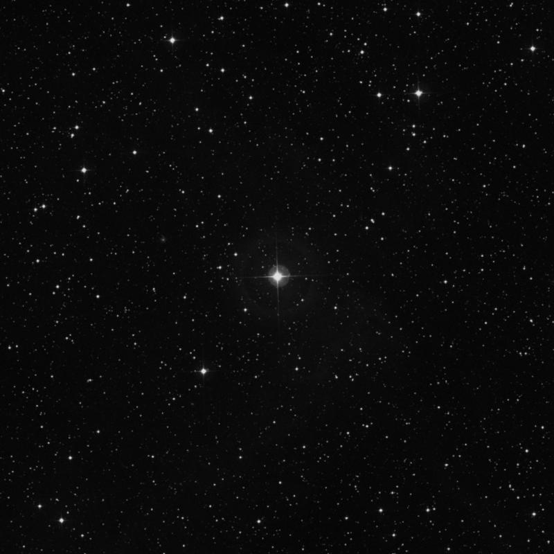 Image of HR8981 star