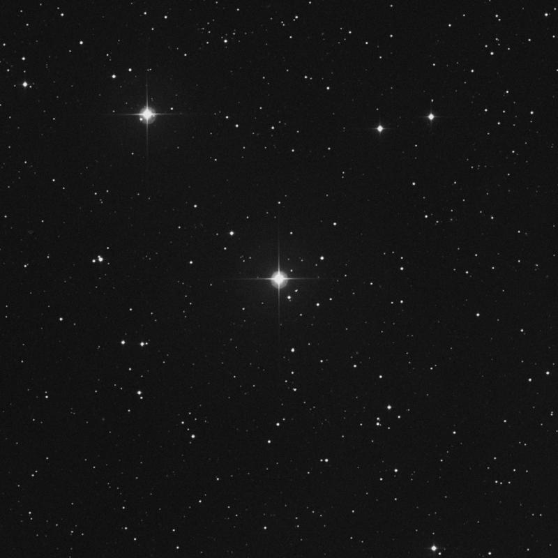 Image of 49 Arietis star