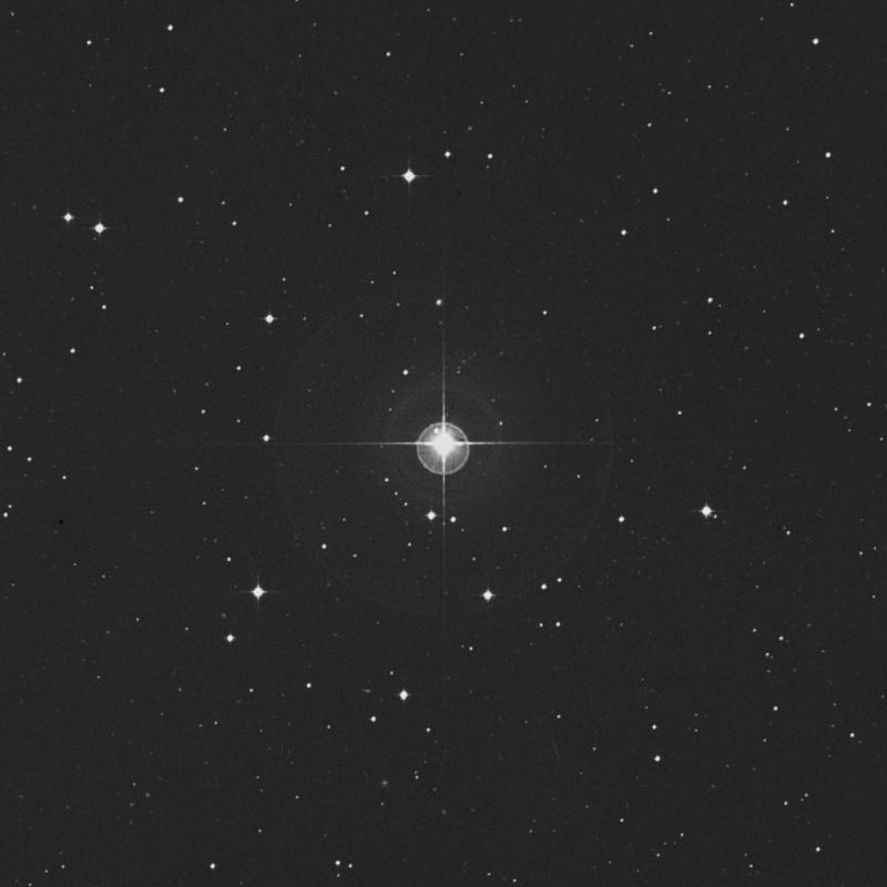 Image of ρ1 Eridani (rho1 Eridani) star