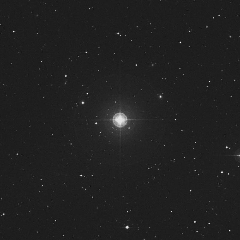 Image of HR912 star