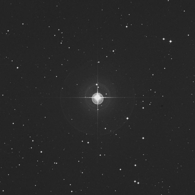 Image of ρ2 Eridani (rho2 Eridani) star