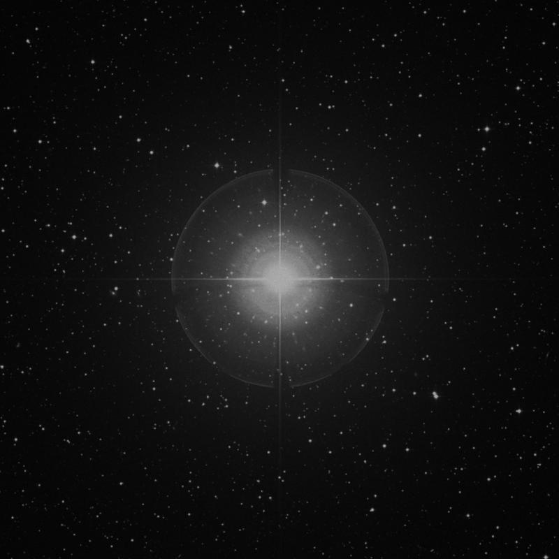 Image of ρ Persei (rho Persei) star