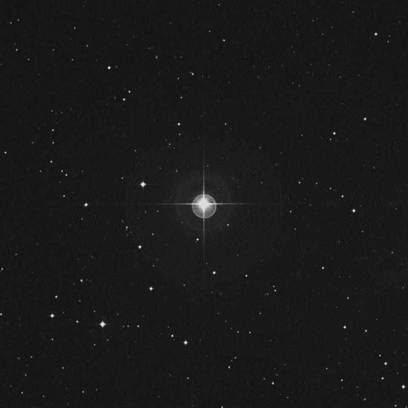 Image of ρ3 Eridani (rho3 Eridani) star