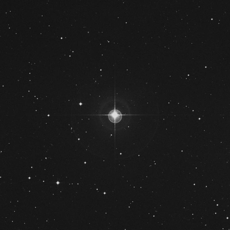 Image of ρ3 Eridani (rho3 Eridani) star