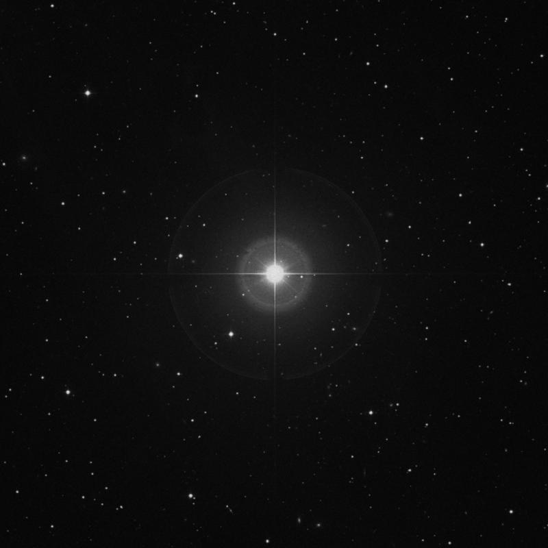 Image of Botein - δ Arietis (delta Arietis) star