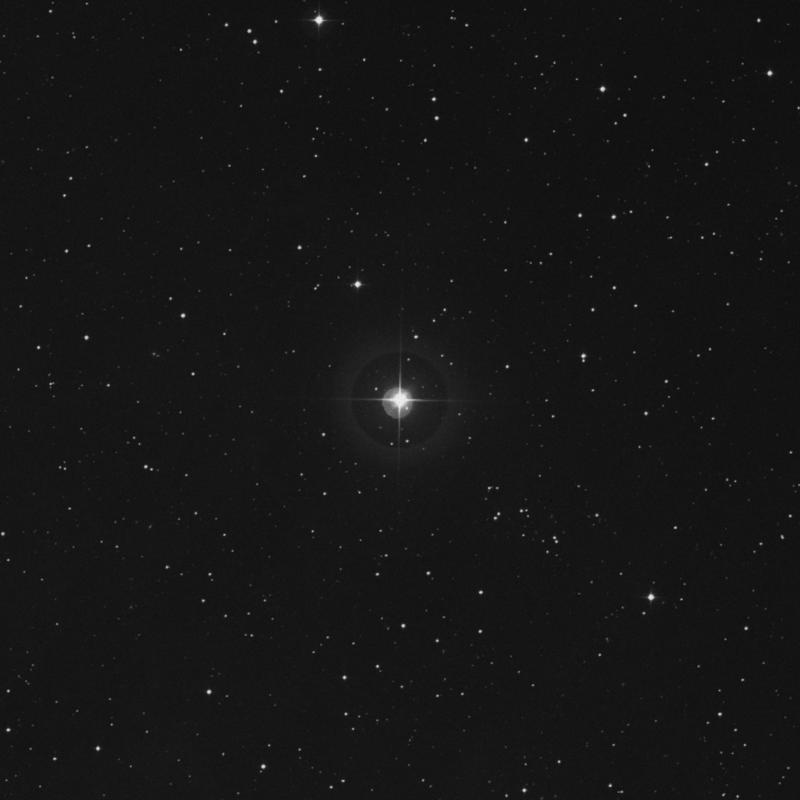 Image of 56 Arietis star