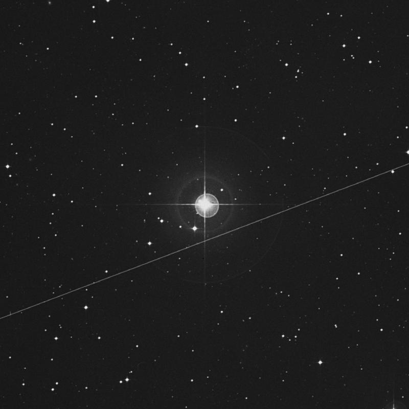 Image of HR955 star