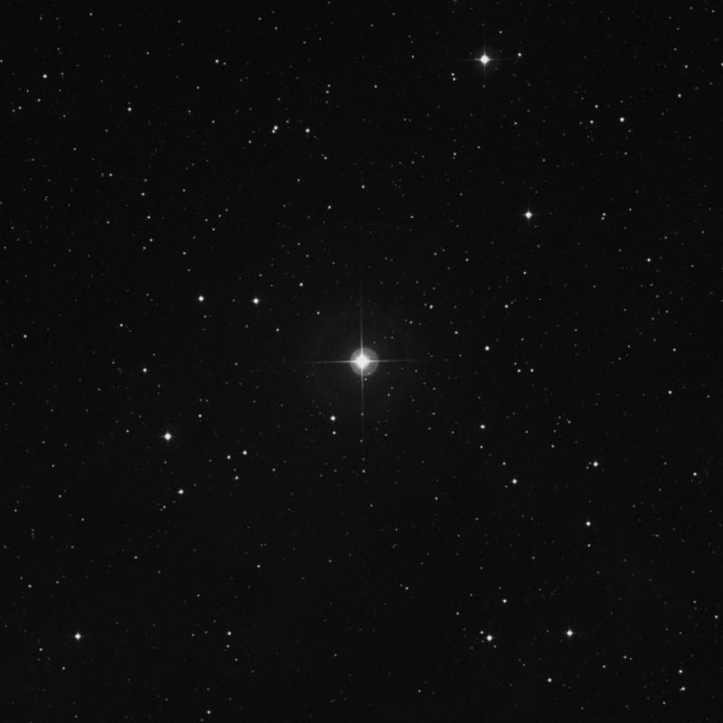 Image of HR971 star