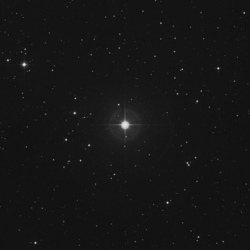 Image of ζ Arietis (zeta Arietis) star